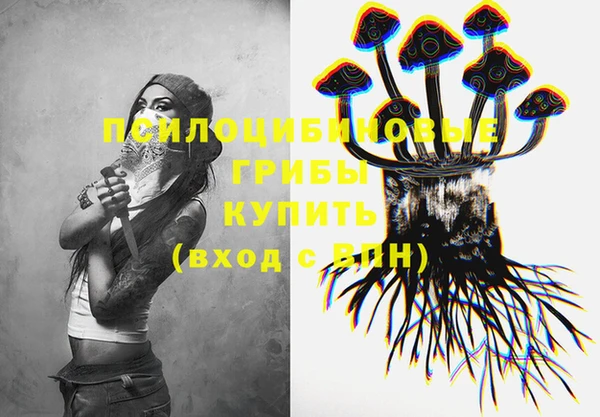мяу мяу кристалл Ельня