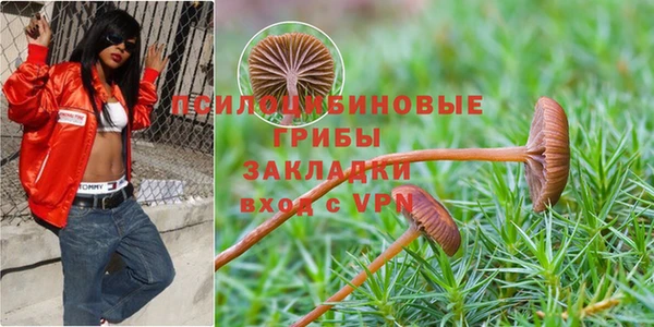 меф Елабуга
