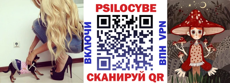 Псилоцибиновые грибы GOLDEN TEACHER  Плавск 